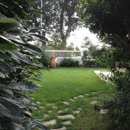 Villa Gioia Rooms Montegranaro Exterior photo