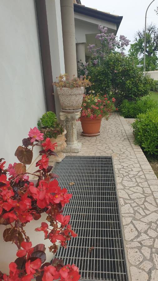 Villa Gioia Rooms Montegranaro Exterior photo